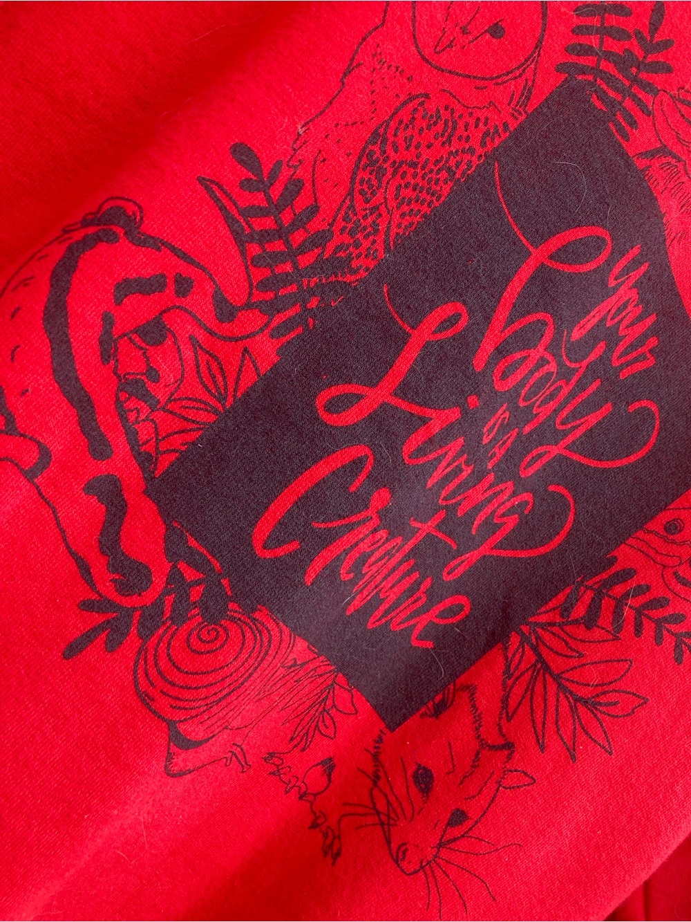 Red Graphic Crewneck Sweatshirt - Your Body Is A Living Creature - Picture 4 of 5